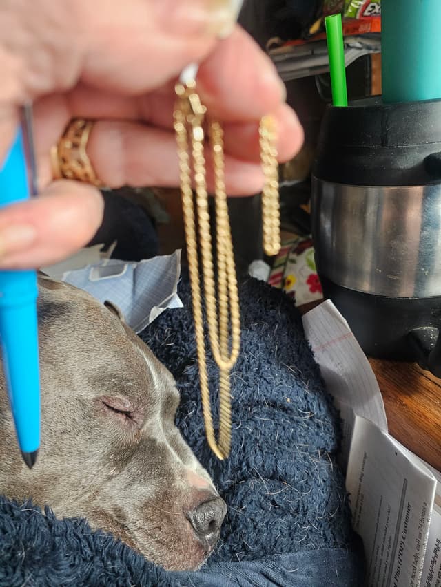 Nice chain but extremely thin.  Not sure I would buy again